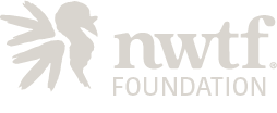 NWTF Foundation